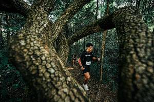 BIB: 
                            <button type="button" onclick="openModal(25394235)" class="btn btn-primary btn-sm float-right btn-popup" data-toggle="modal" data-target=".modal-high-quality">
                        <i class="fas fa-shopping-cart"></i> Add to Cart
                    </button>
                                            <button type="button" onclick="isThisMe(25394235, true)" class="btn btn-success btn-sm float-right btn-popup btn-isme hidden" data-toggle="tooltip" data-placement="bottom" title="นี่คือรูปของคุณใช่ไหม คลิกที่นี่เพื่อเอาเข้าอัลบั้ม">
                        <i class="fas fa-plus"></i> Add to album
                    </button>
                    <button type="button" onclick="isThisMe(25394235, false)" class="btn btn-warning btn-sm float-right btn-popup btn-isnotme hidden">
                        <i class="fas fa-ban"></i> Remove from album
                    </button>